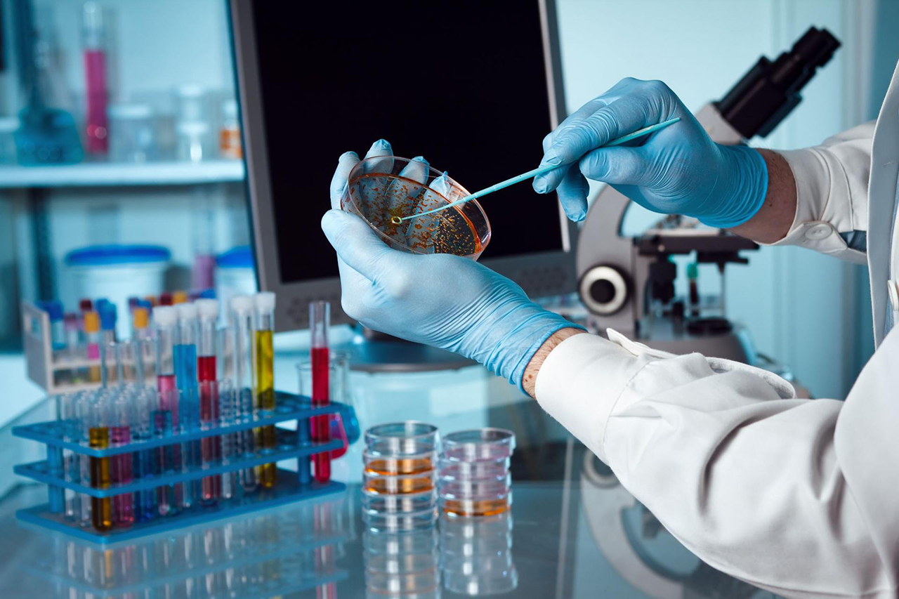 med laboratoriya