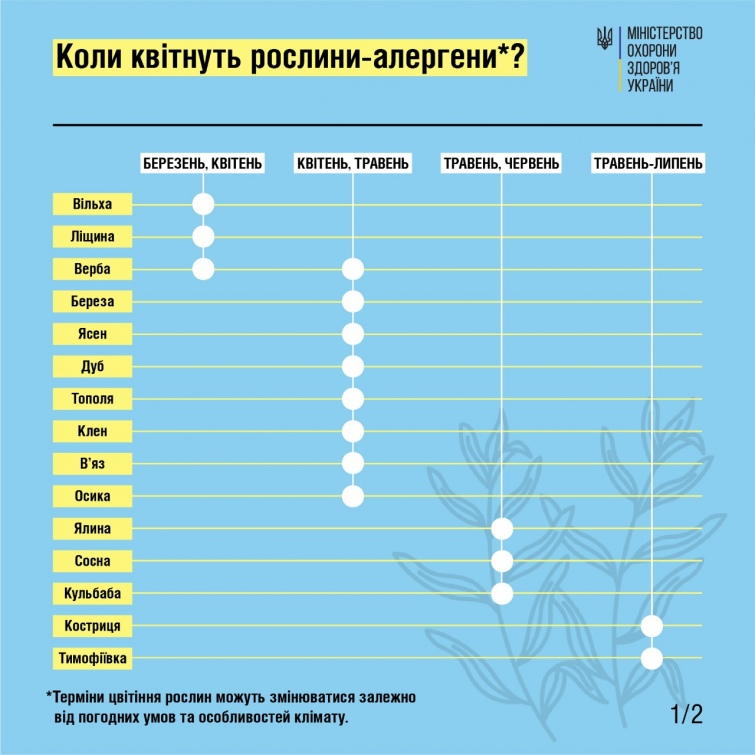 календар цвітіння алергенних рослин